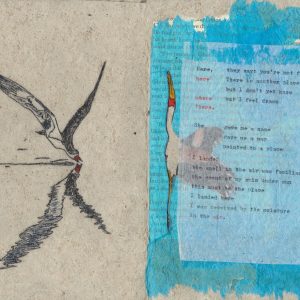 The Return of the Migratory Birds